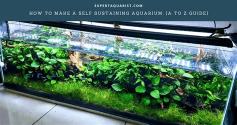 self sustaining aquarium